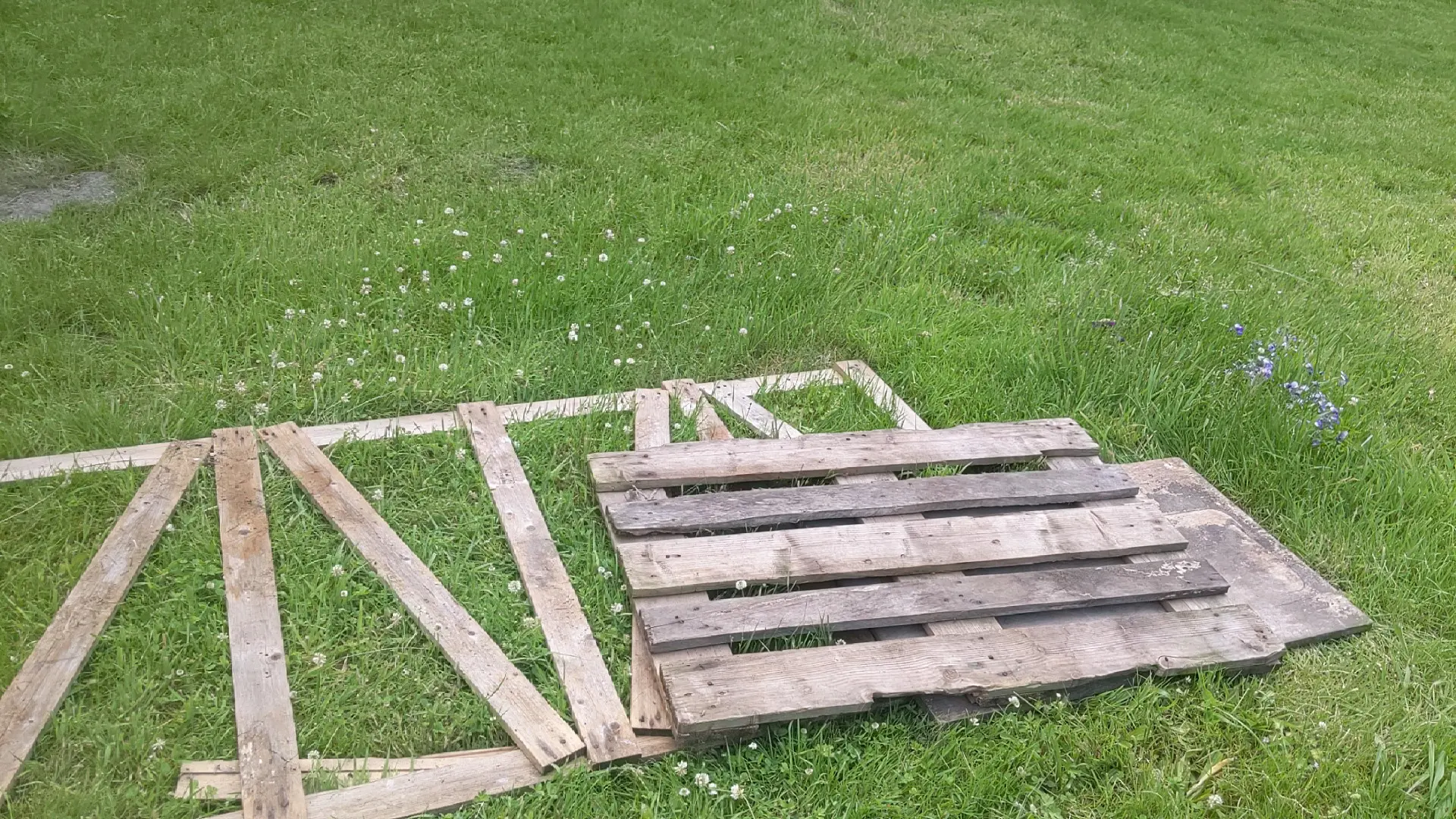 Bild zum Logbuch-Eintrag