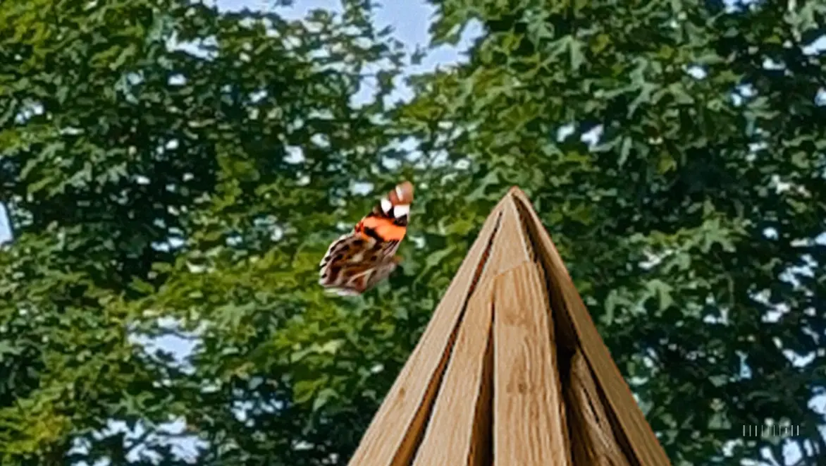Bild zum Logbuch-Eintrag